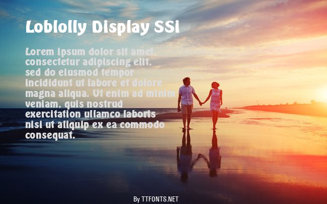 Loblolly Display SSi example